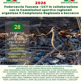 CAMPIONATO REGIONALE A BECCACCE 2026 Federcaccia Toscana-UCT: appuntamento in Maremma