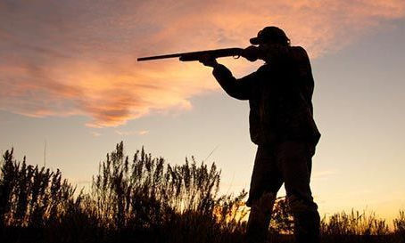 CCT: OGGI LE AUDIZIONI DELLA SECONDA COMMISSIONE SUL NUOVO REGOLAMENTO  DI ATTUAZIONE ALLA L.R.