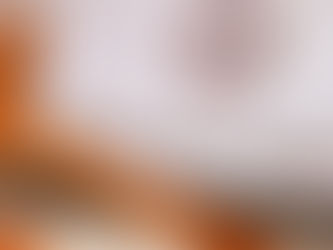 NOTIZIE DAL CONSIGLIO DI STATO: IMPORTANTE SENTENZA SUL RINNOVO DEL PORTO D’ARMI USO CACCIA