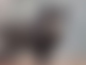 PESTE SUINA: INTESA CONFERENZA STATO REGIONI