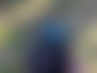 GESTIONE FAUNISTICA 4.0: DRONI PER TUTELARE FAUNA E AGRICOLTURA