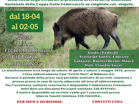 LA SEGUITA SU CINGHIALE TORNA PROTAGONISTA IN TOSCANA