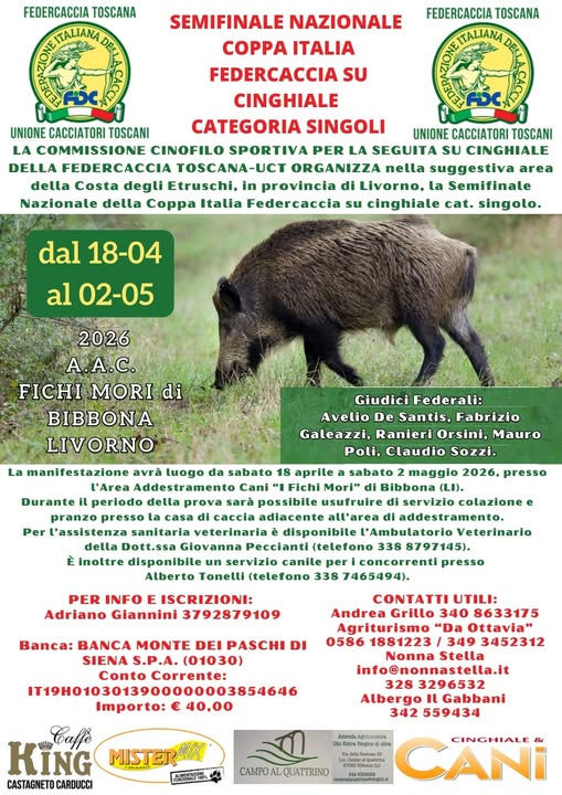 LA SEGUITA SU CINGHIALE TORNA PROTAGONISTA IN TOSCANA