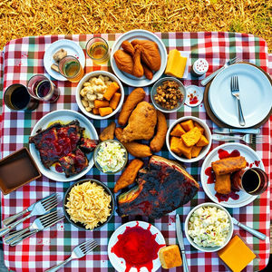 THE COOKOUT