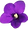 African%20Violet_edited.png