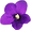 African%20Violet_edited.png