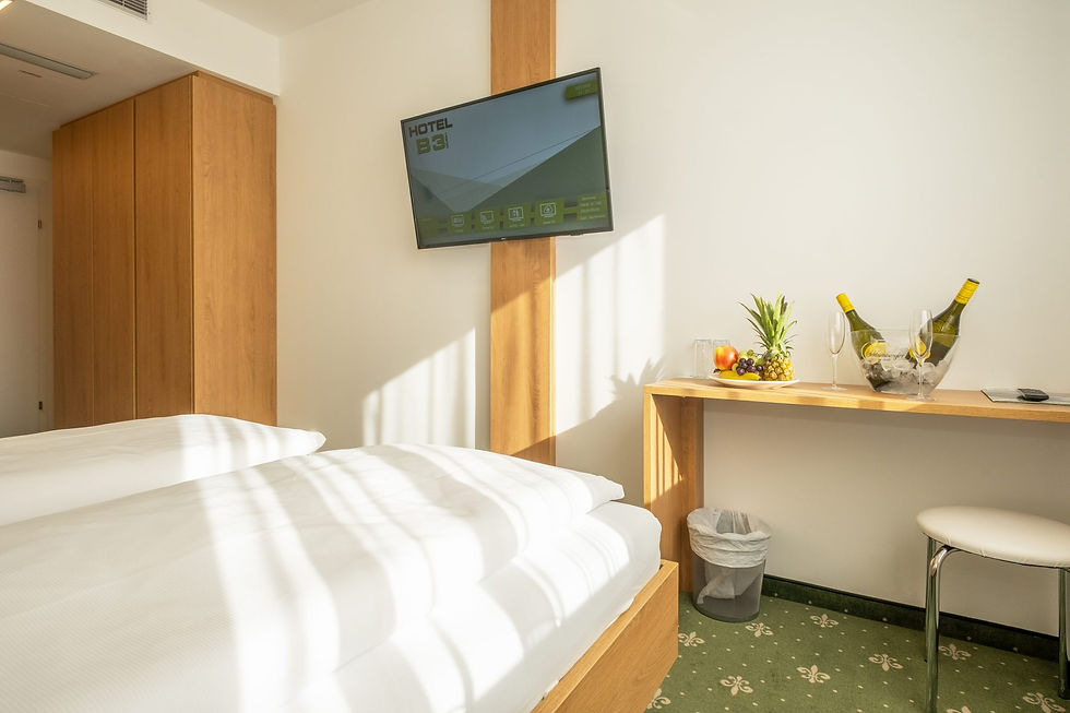 Hotel B3