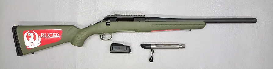 308 Ruger Predator b.jpg