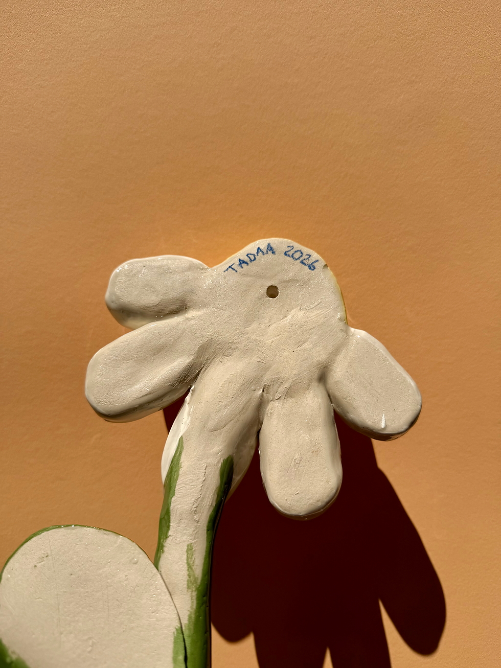 Miniaturbild: Wandblume Margerite