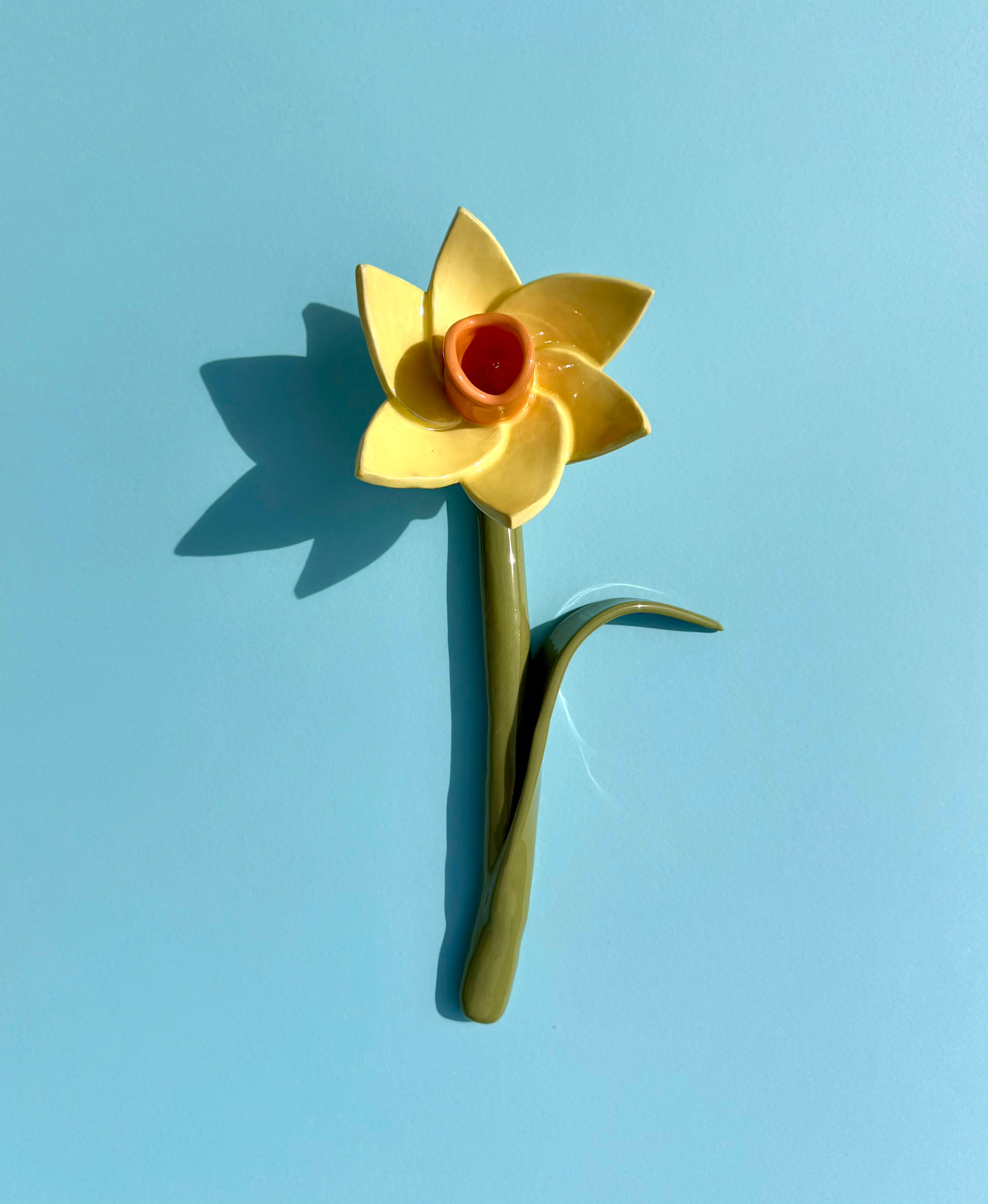 Wandblume Narzisse