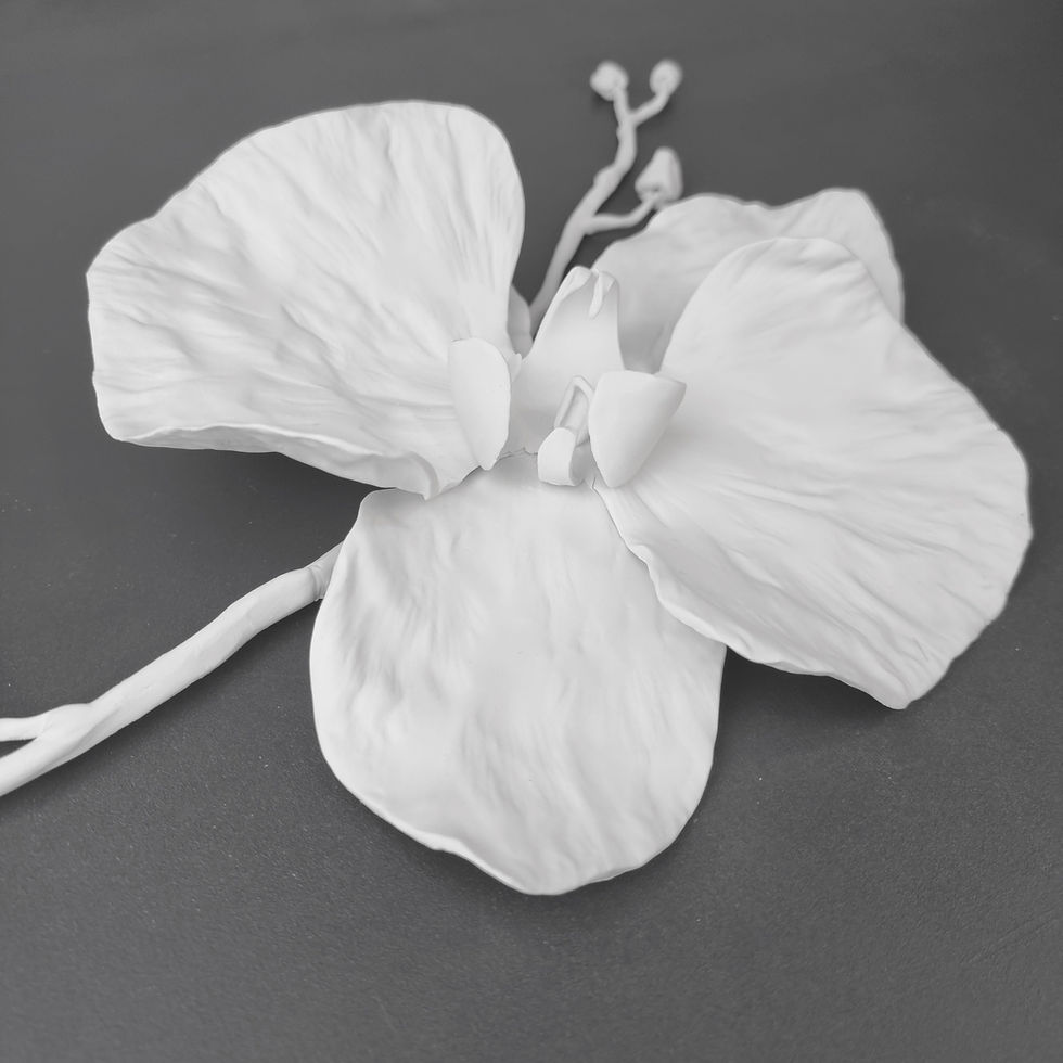 Thumbnail: Set of 5 Natural Porcelain Moth Orchid Blooms with stems and buds.