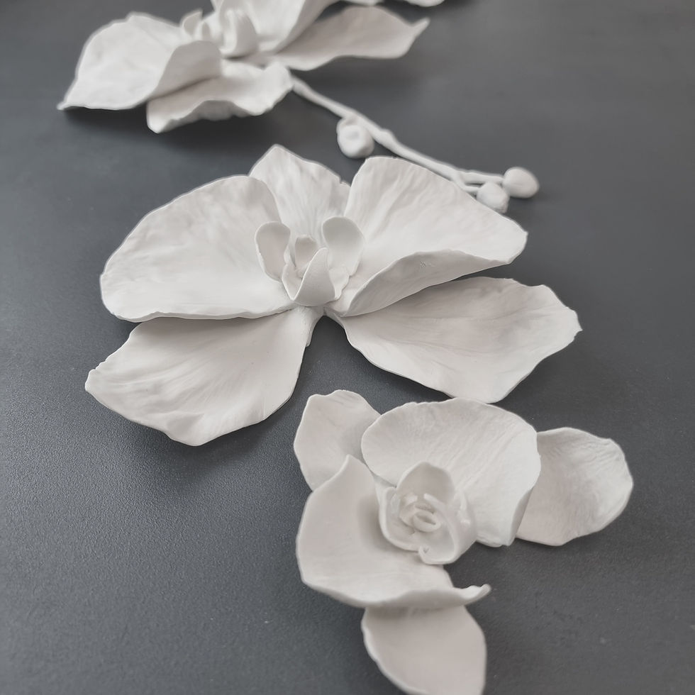 Thumbnail: Set of 5 Natural Porcelain Moth Orchid Blooms with stems and buds.