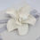 Thumbnail: Single Natural Porcelain Gardenia Bloom
