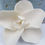 Thumbnail: Single Natural Porcelain Gardenia Bloom