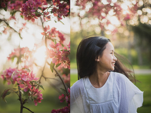 Why Do Photographers Only Want to Shoot In the Evening?
