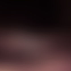 Final shakedown: the Prologue of the WEC Super Season