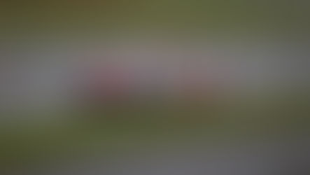 ‘Silverstone Slip-up' for Toyota