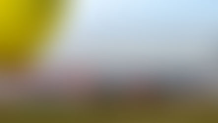 Qualifying dampener for Toyota Gazoo Racing