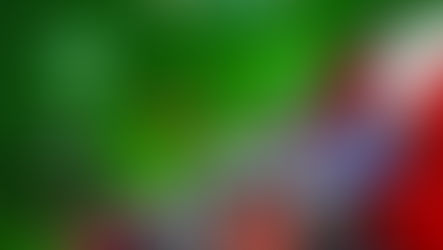 The knowledge on.... Autodromo Hermanos Rodriguex