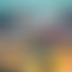 Rolex 24 at Daytona 2023: Thursday Update