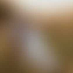 Romantic golden hour wedding portrait of a couple in Suffolk countryside, captured by wedding photographer Adam Prescott