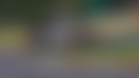 Second row for Porsche 919 Hybrids