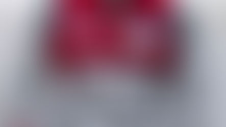 A word from ... André Lotterer