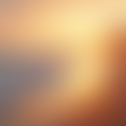 Why Opt for Wedding Photography in Norfolk