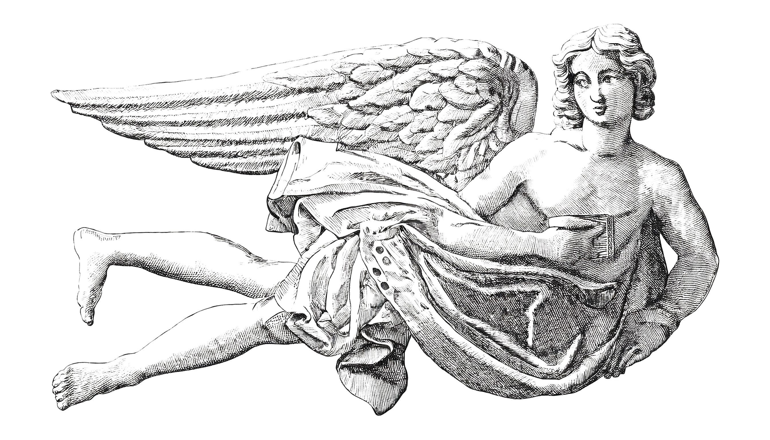 FZephyr Gravure.png