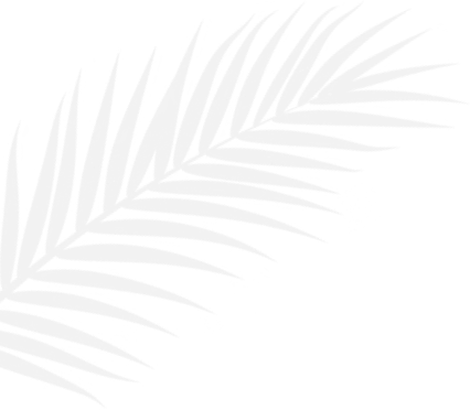 Left_Design_Ilement.png