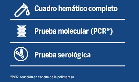 Captura de Pantalla 2023-01-27 a la(s) 12.48.24 p.m..png