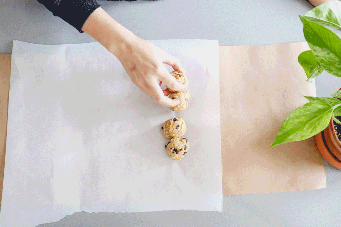 GIF.gif