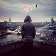Tiny Rebel Music