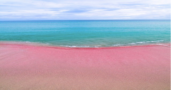Diferentes Tipos De Playas Que No Sabias Que Existian