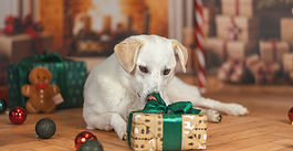 Weihnachtsminis am 12.12.2026