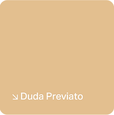 Duda Previato Client Experience