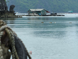 GIA’S JOURNEY TO QUANG NINH PROVIENCE