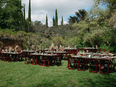 meadow - OutdoorWedding.jpeg