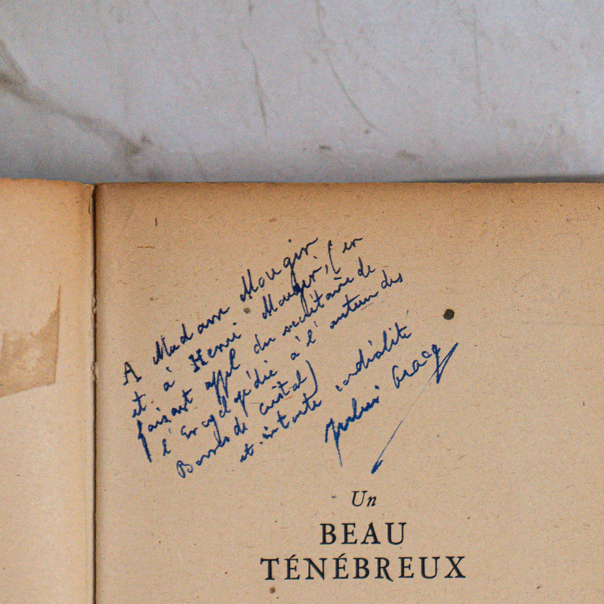 Un beau ténébreux
