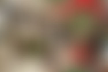 12 Facts About 90s Christmas