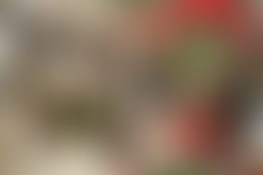 12 Facts About 90s Christmas