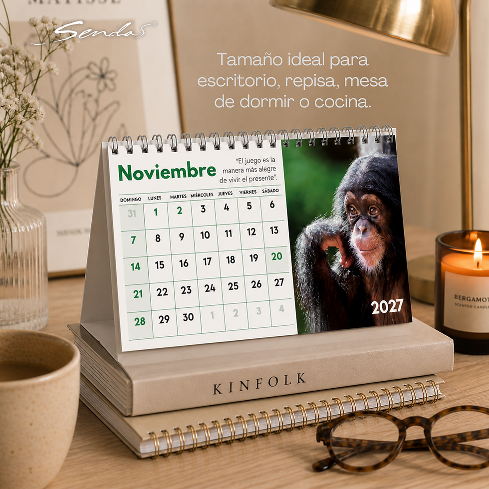 Miniatura: Calendario Escritorio Valores 2027
