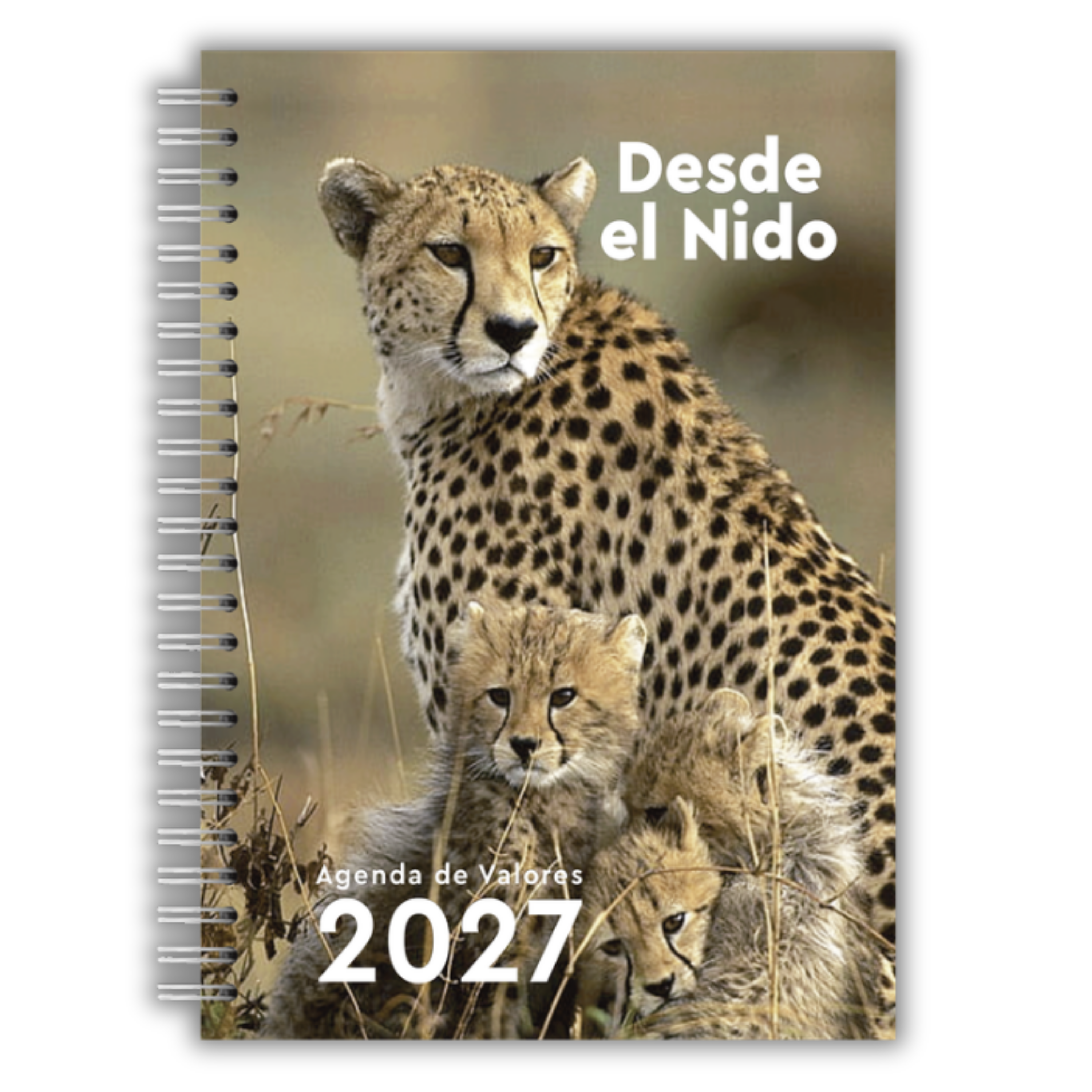 Agenda Valores 2027