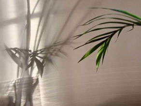 Step Six - Re-vitalise emotionally and visually with Tom Ang