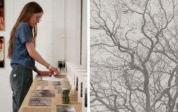 Rowan-Collinson-at-Mill-Tye-Gallery-2