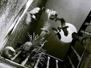 Step Seven - Re-vitalise emotionally and visually with Tom Ang