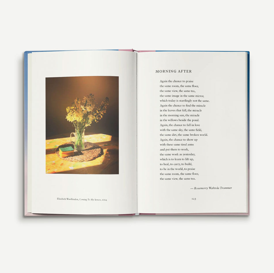 Thumbnail: Everyday Wonder by Sophie Howarth