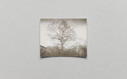 Rowan-Collinson-at-Mill-Tye-Gallery-6