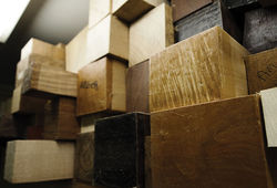 Ted-Dunmow-Workshop-14