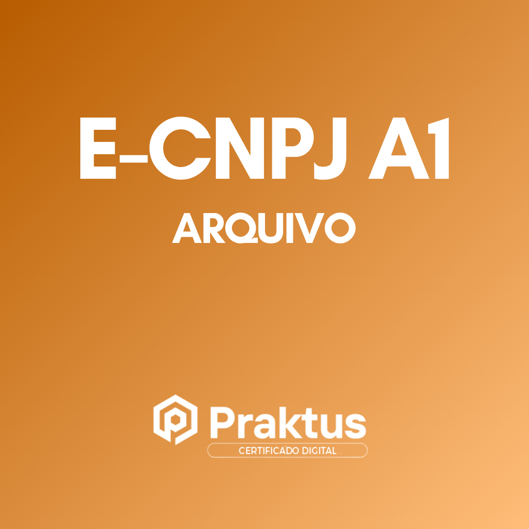 e-CNPJ A1 | Arquivo